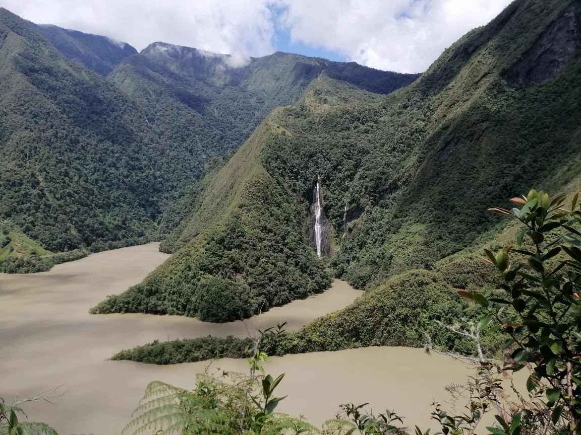 Naturaleza viva
