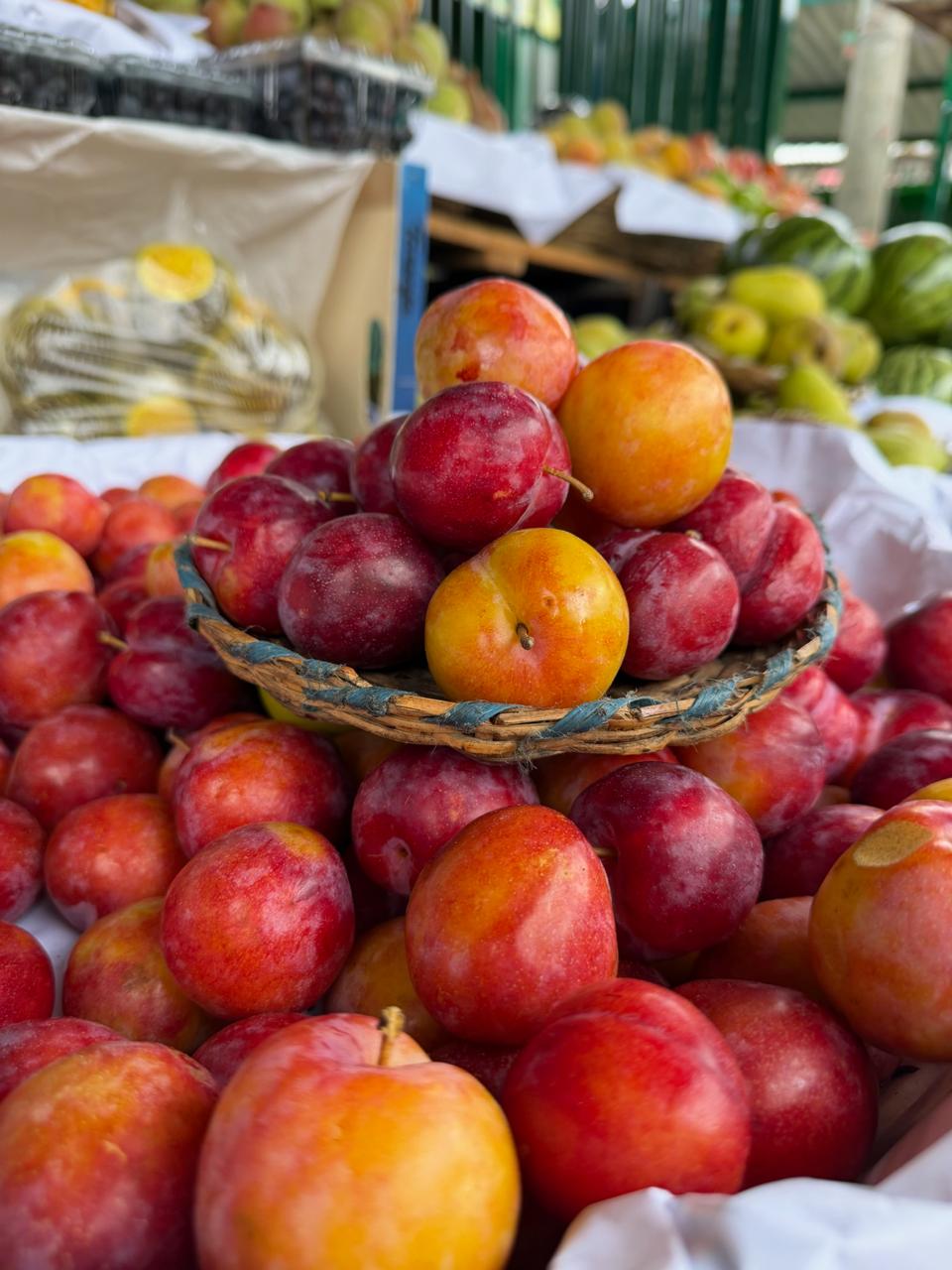 Sabor de la tierra